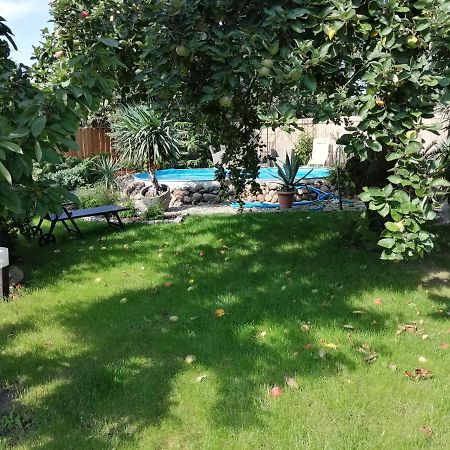 Ferienwohnung Lotti Wittenberg Esterno foto