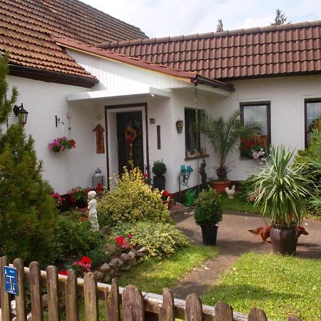 Ferienwohnung Lotti Wittenberg Esterno foto